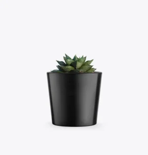 product-image-3_optimized Augue Neque